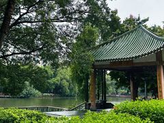 -荔湾湖公园