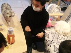 -平行世界·猫咖(首经贸店)