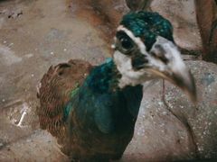 -福州罗源湾海洋世界旅游区