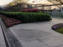 -广州白云国际机场-T2航站楼