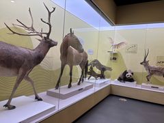 -国家自然博物馆