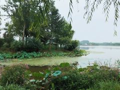 -东郊湿地公园