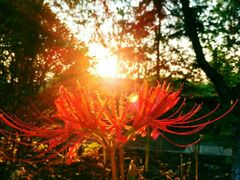 -南京金牛湖风景区