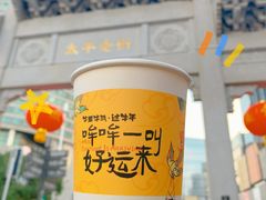 -茶颜悦色(岳麓山顶店)