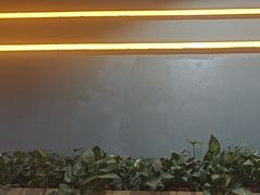 -小蓝鲸游泳培训基地(积水潭店)