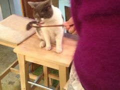 iphone_upload_pic-MIKAKU(万达广场上海宝山店)