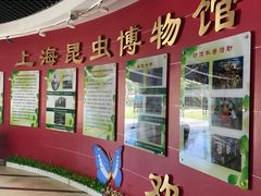 -上海昆虫博物馆
