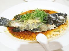 -海儀美食楼(湾仔海鲜街店)