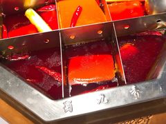 -蜀九香火锅(九眼桥店)