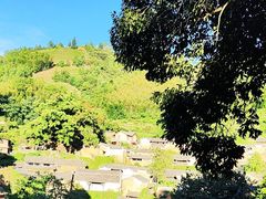 -杨家堂村