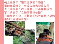 -德宏芒市国际机场