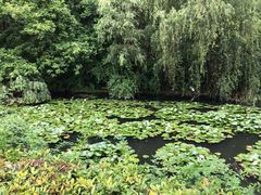 -白塘生态植物园