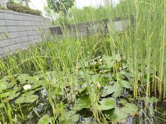 -昆山城市生态森林公园