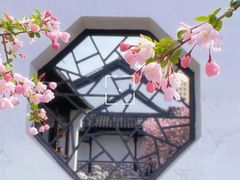 -莫愁湖公园