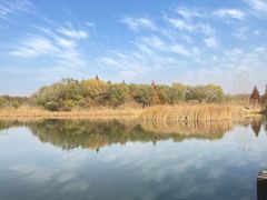 -溱湖国家湿地公园