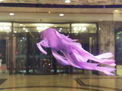 -陇菜和盛祥(金轮宾馆店)