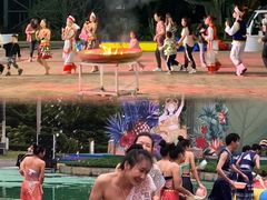 -东南花都花博园
