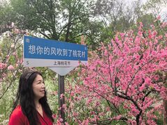 -南汇桃花村