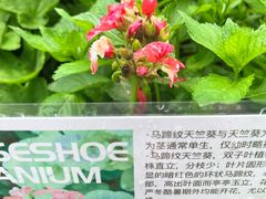 -中国湿地博物馆