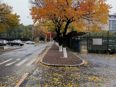 -吉林大学(南岭校区)