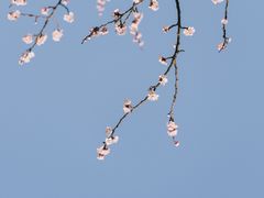 -宝鸡植物园