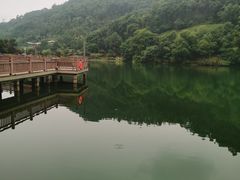 -桃花岭景区