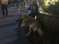-新石器烤肉(张家港购物公园店)