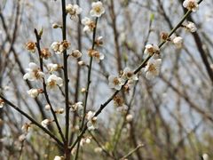 -中国移动南方基地