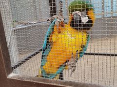 -南宫五洲植物乐园