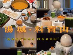 -汤城·料青山