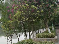 -怡海公园(桂城街道)