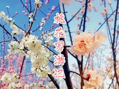 -桃花堤公园