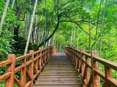 -明月山风景名胜区