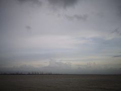 -大湾区中央湿地公园