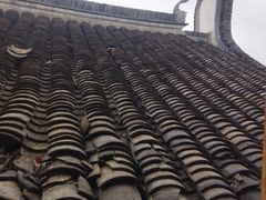 -长兴菜馆(高桥店)