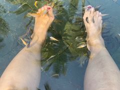 -三亚珠江南田温泉度假区