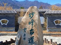 -阳台山自然风景区