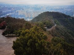 -杭州半山国家森林公园