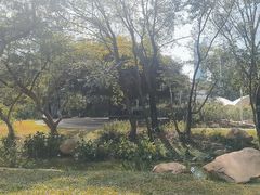 -人民公园(罗湖区)