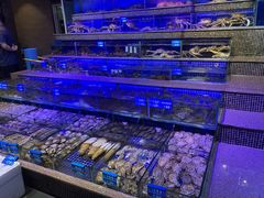 -青蓬蒸汽海鲜·深圳老字号·团建聚会(壹方城店)