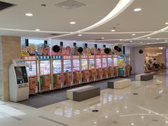 -汇德隆银隆