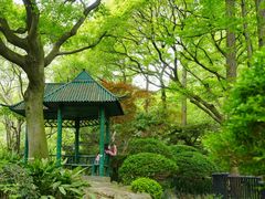 -中山公园