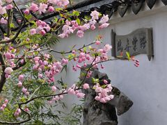 -拙政园