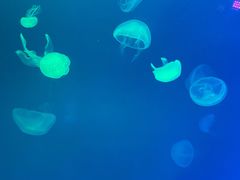 -福州罗源湾海洋世界旅游区