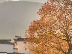 -塔川景区