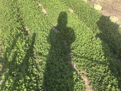 -上海浦南农副产品批发市场