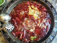 -小龙坎火锅(春熙太古里店)
