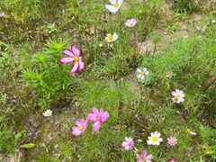 -汉长安城未央宫国家考古遗址公园