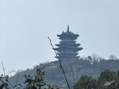 -杭州半山国家森林公园