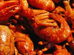 -湘邻呷铺·田园家宴(汉基广场店)